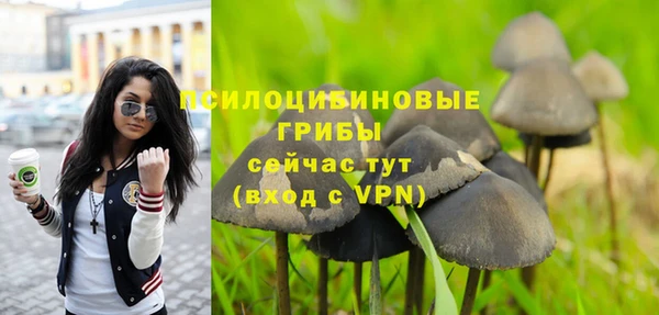 герыч Вяземский