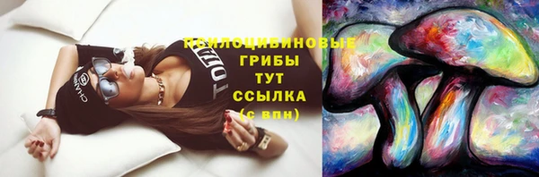 герыч Вяземский