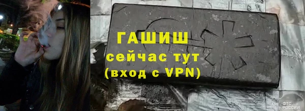 гидра Вязьма