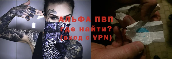 гидра Вязьма
