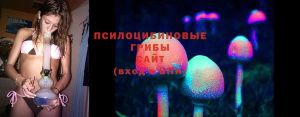 герыч Вяземский