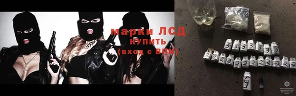 гидра Вязьма