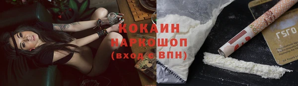 стаф Вязники