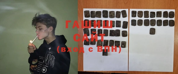 гидра Вязьма