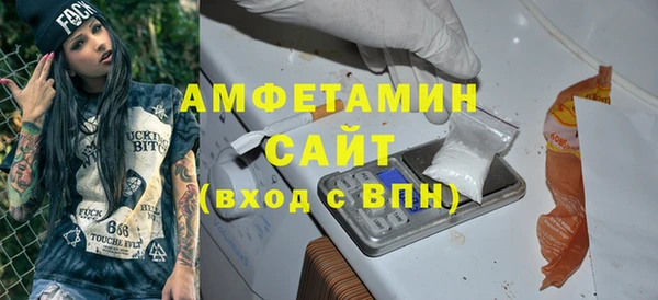 гидра Вязьма