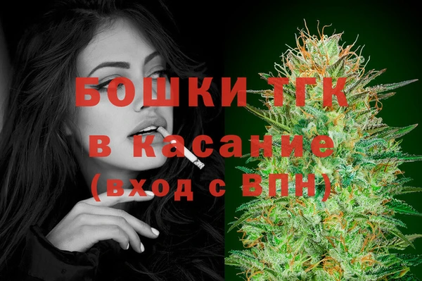 стаф Вязники