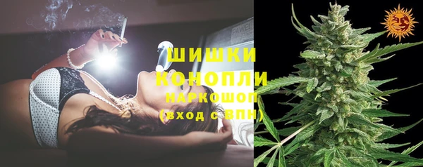 стаф Вязники