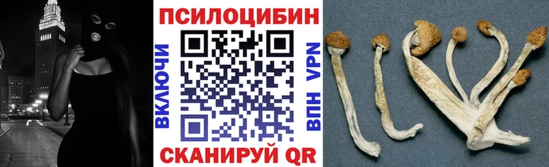 Псилоцибиновые грибы мухоморы  Сочи 